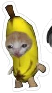 Crying Banana Cat