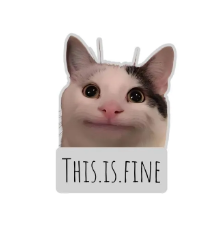 THIS.IS.FINE.