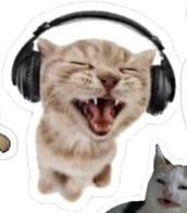 Headphone Cat